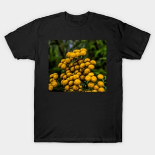 Colourful flower. T-Shirt